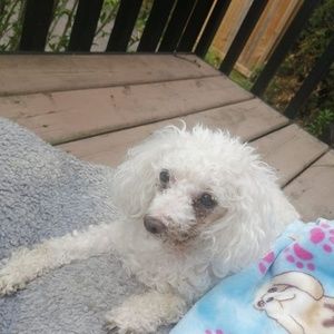 Meet your Posher, Pam